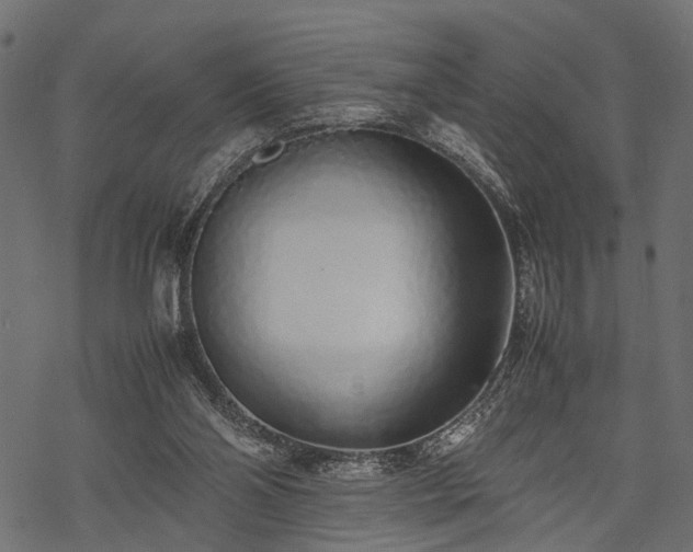 X0000077990110200611031430