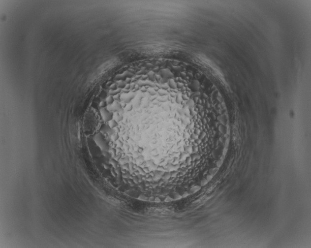 X0000077990115200611031430