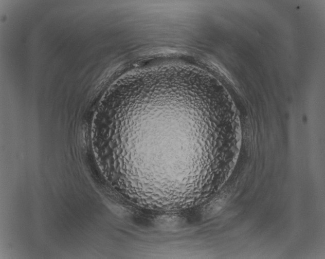X0000077990119200611031430
