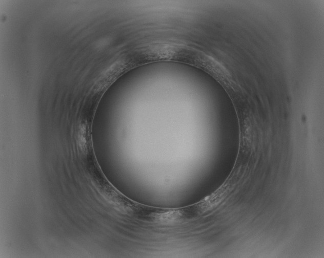 X0000077990122200611031430
