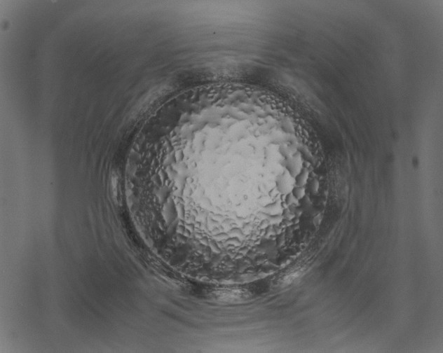 X0000077990123200611031430