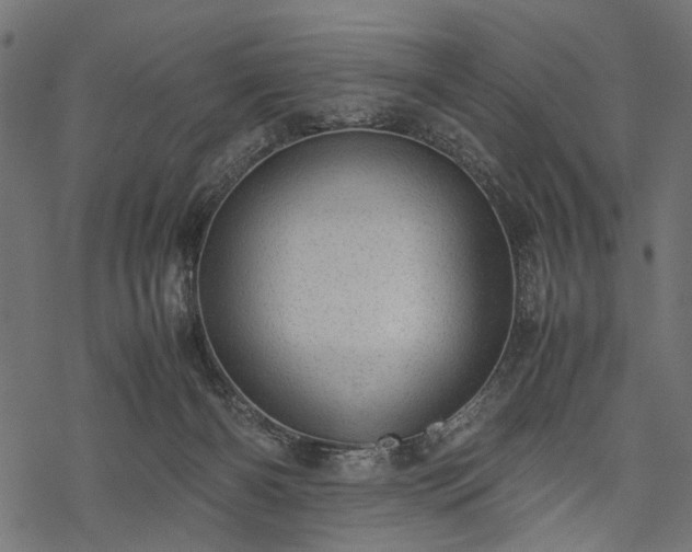 X0000077990126200611031430