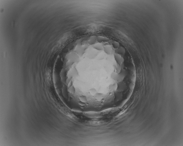 X0000077990127200611031430