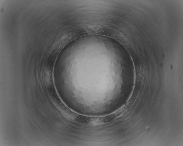 X0000077990130200611031430