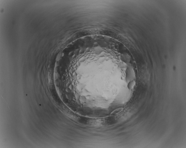 X0000077990131200611031430