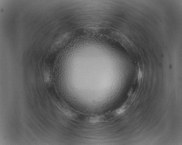 X0000077990134200611031430