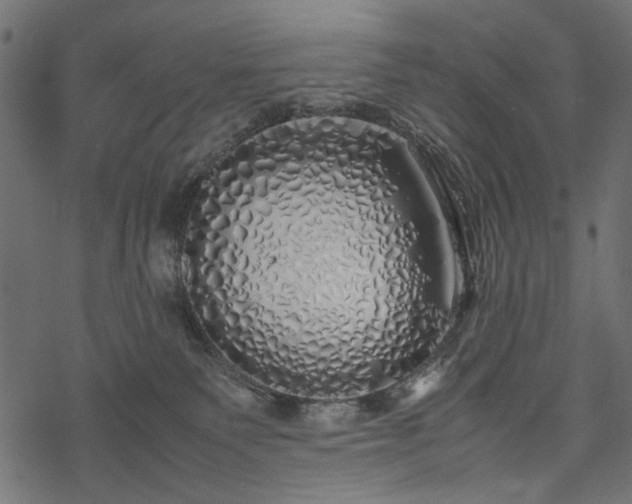 X0000077990135200611031430