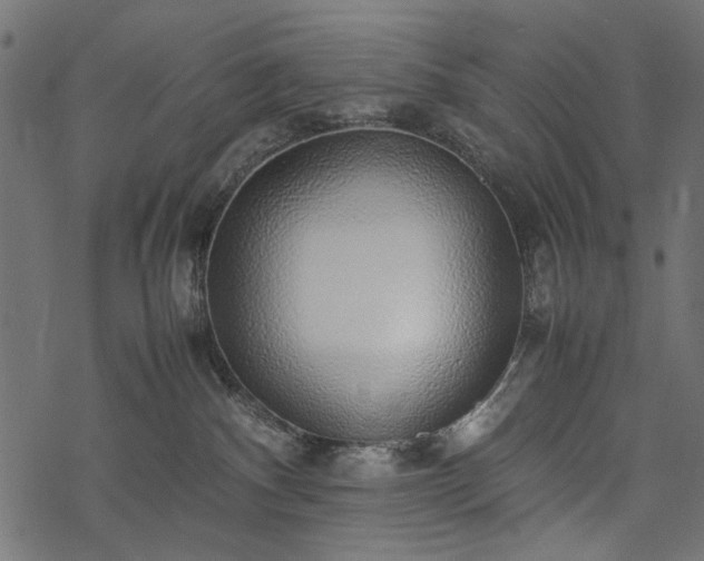 X0000077990140200611031430