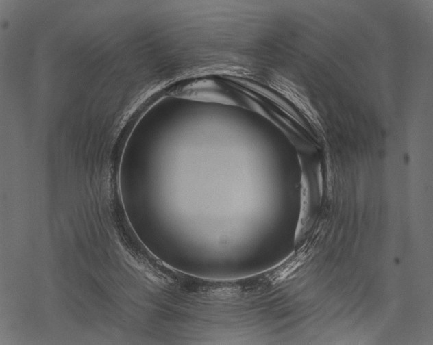 X0000077990156200611031429