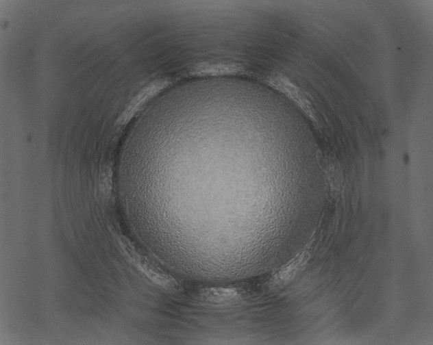 X0000077990159200611031429