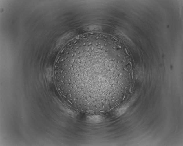 X0000077990189200611031429