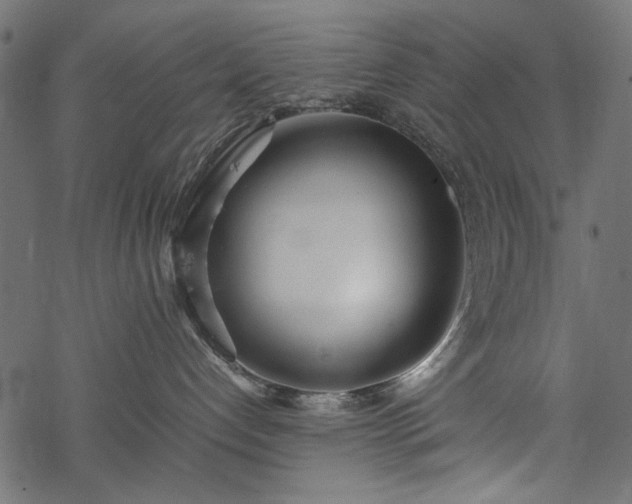 X0000077990192200611031430
