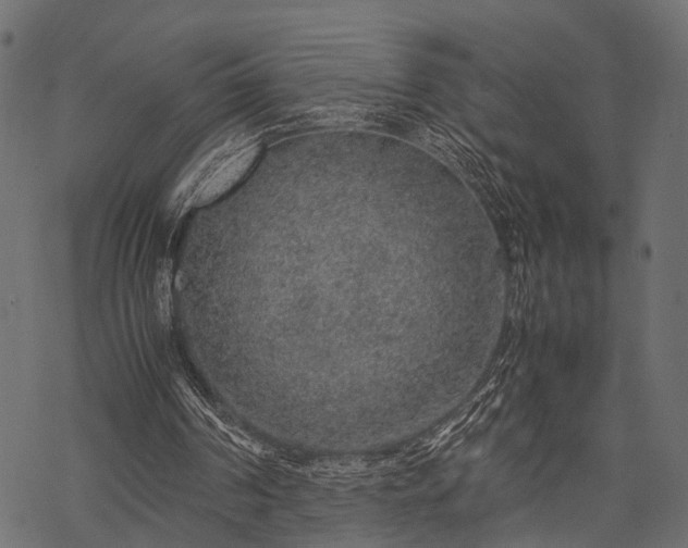 X0000077990194200611031429