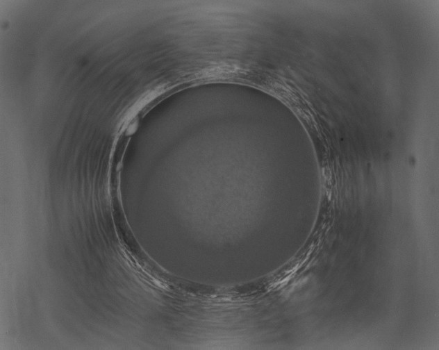X0000077990196200611031429