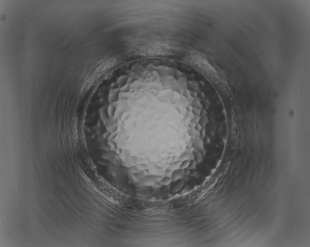 X0000077990202200611031429