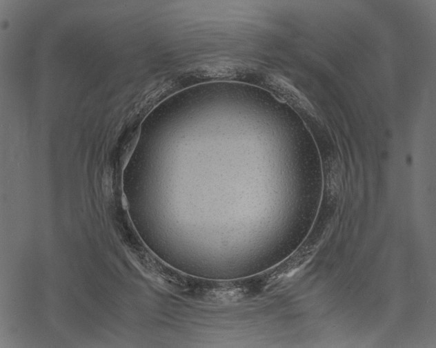 X0000077990213200611031428