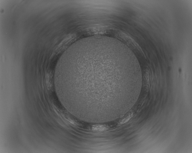 X0000077990218200611031428
