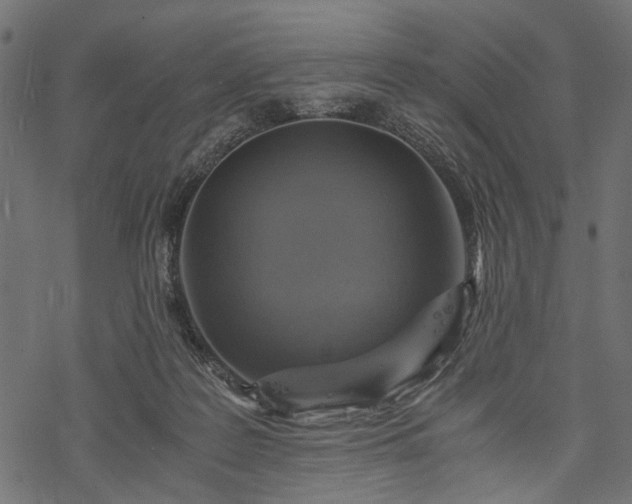 X0000077990219200611031428