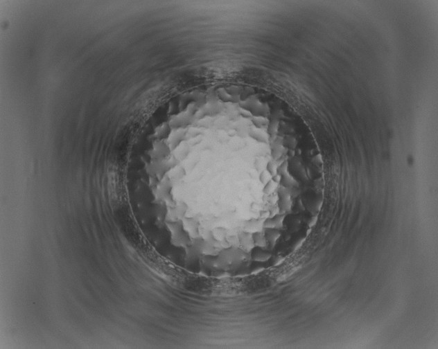 X0000077990222200611031428