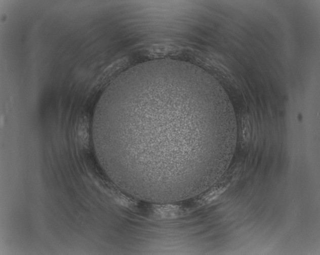 X0000077990226200611031428