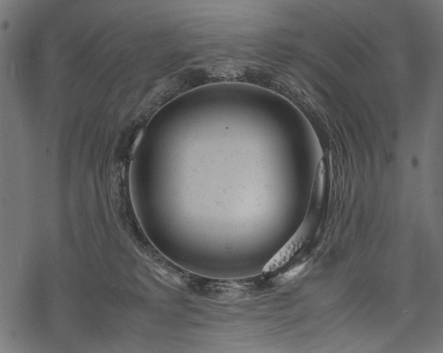 X0000077990229200611031428