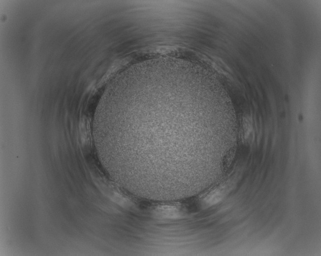 X0000077990236200611031428