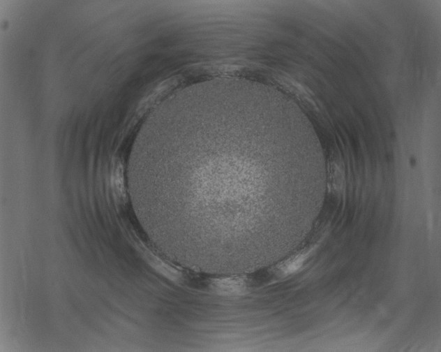 X0000077990238200611031428