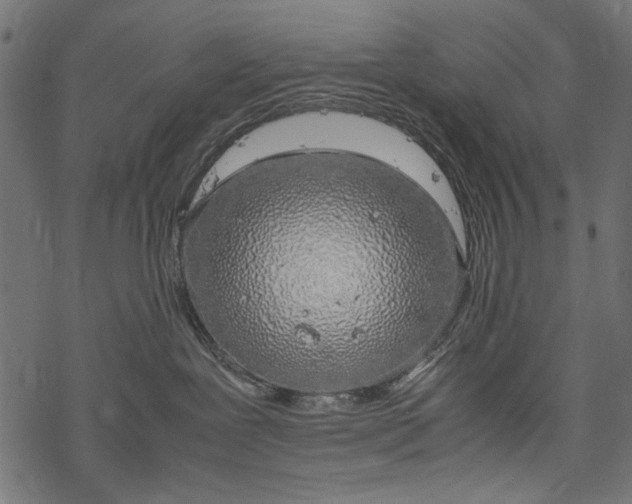 X0000077990239200611031428