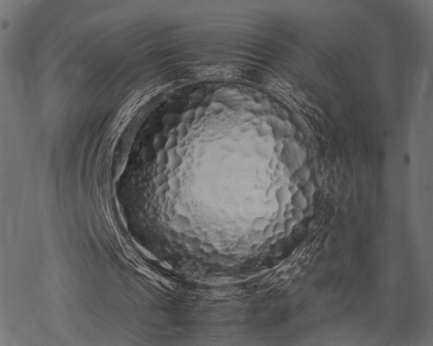X0000077990241200611031427