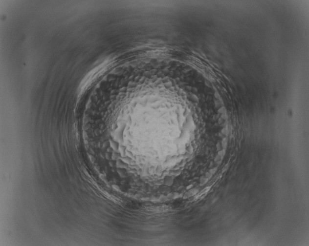 X0000077990245200611031427