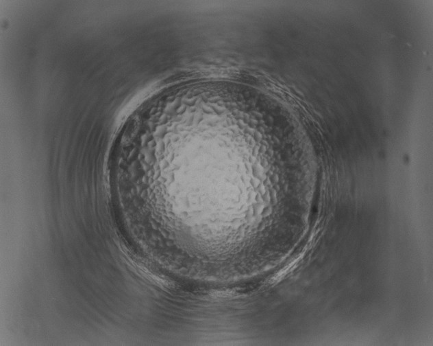X0000077990246200611031427