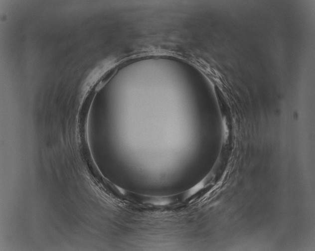 X0000077990248200611031427