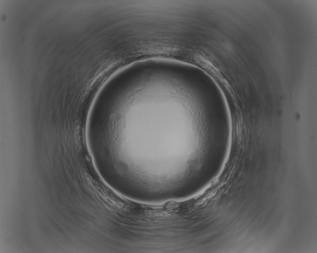 X0000077990249200611031427