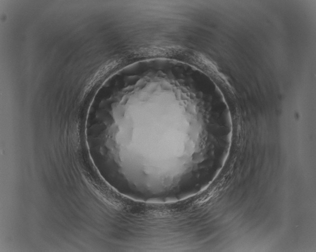 X0000077990250200611031427