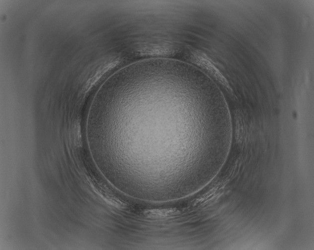 X0000077990251200611031427