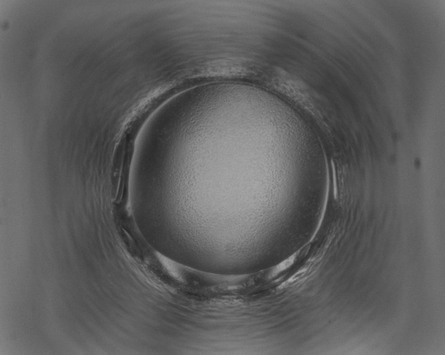 X0000077990252200611031427