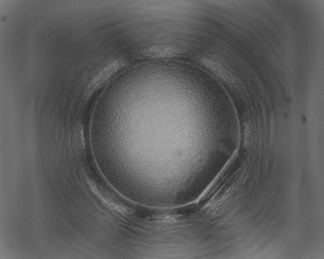 X0000077990254200611031427