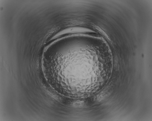 X0000077990257200611031427
