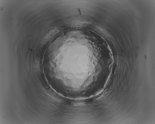 X0000077990258200611031428