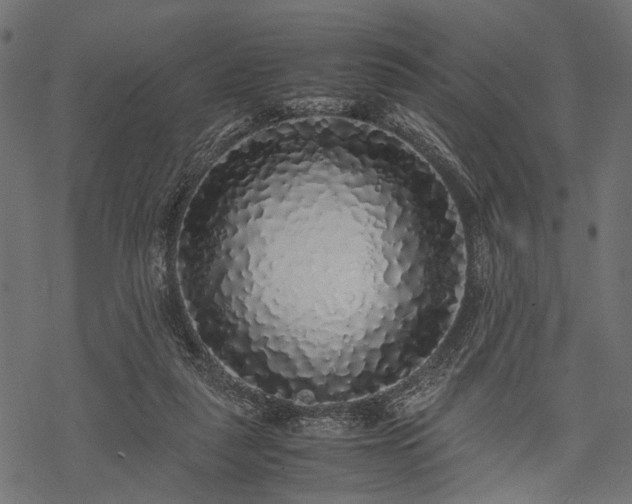 X0000077990259200611031428