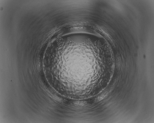 X0000077990261200611031428