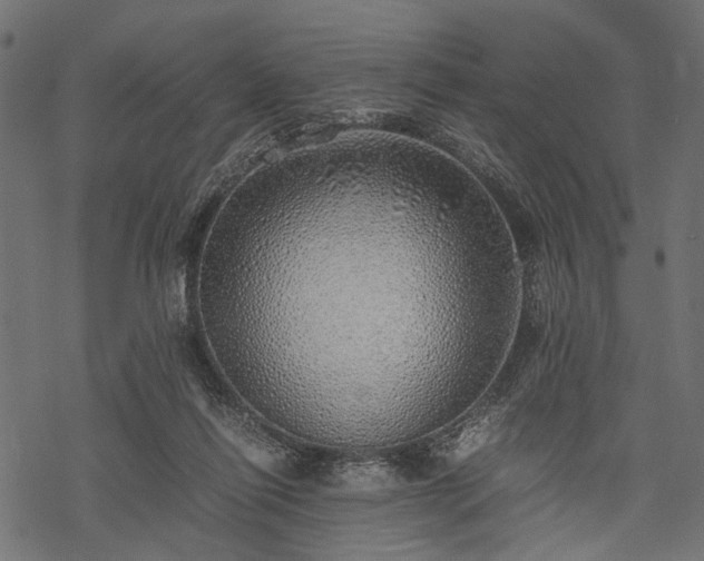 X0000077990262200611031428