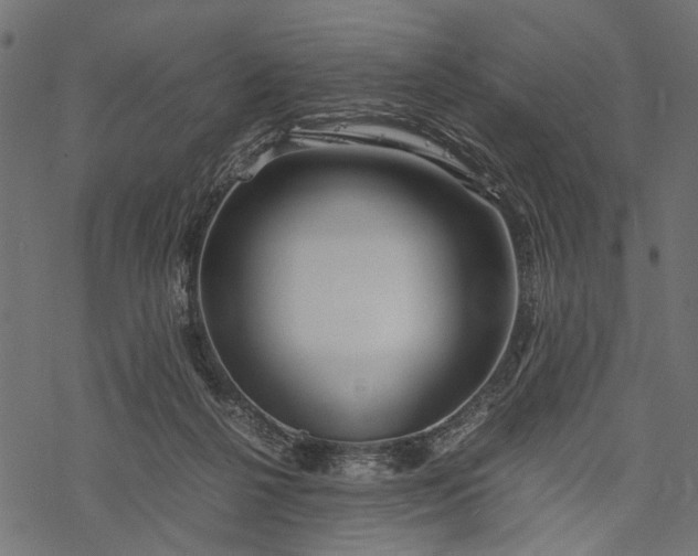 X0000077990264200611031428