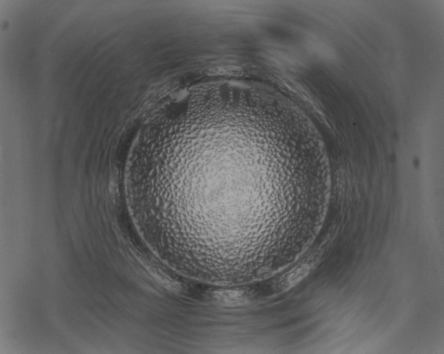X0000077990265200611031428