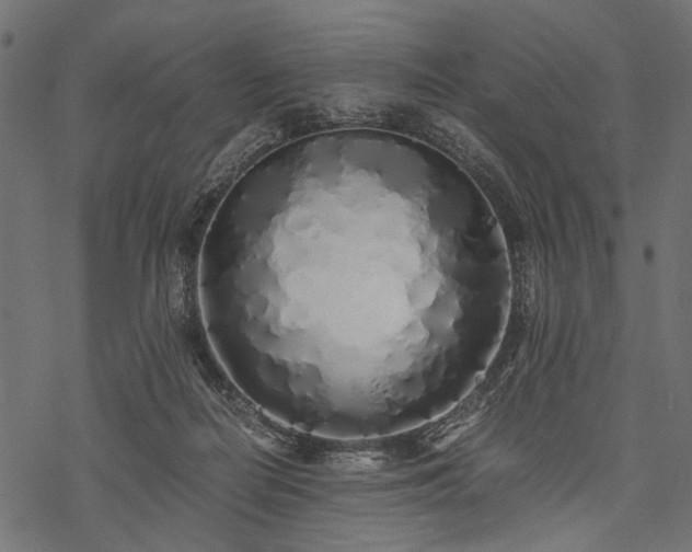 X0000077990266200611031428
