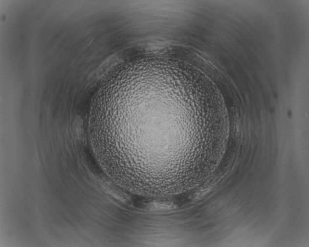 X0000077990270200611031428
