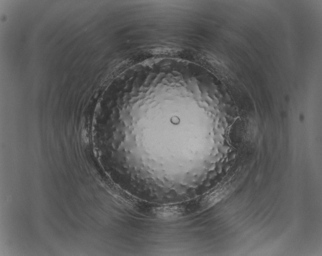 X0000077990273200611031428