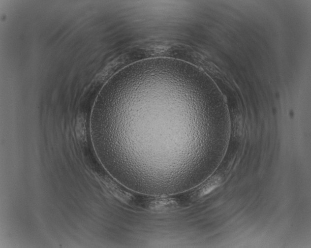 X0000077990274200611031428