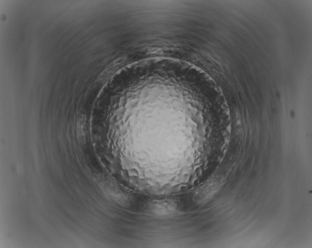 X0000077990275200611031428
