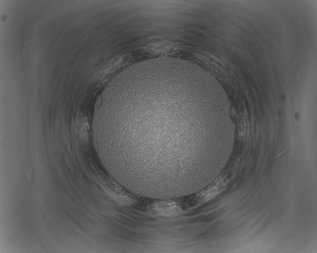 X0000077990279200611031428